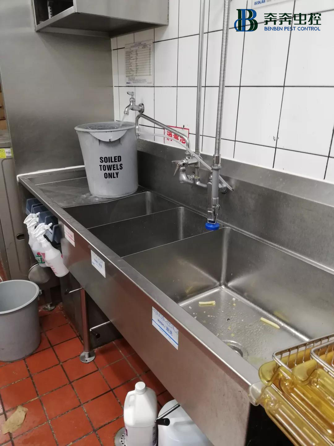 餐厅老板必看：餐馆的蟑螂最喜欢躲藏在哪里？