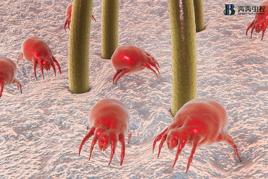 不勤洗床单被套有多可怕？