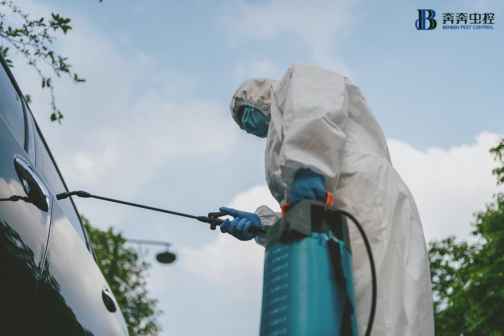 消毒公司|私家车如何消毒？