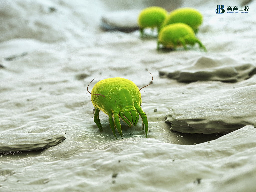 与＂它&ldquo;同居的日子