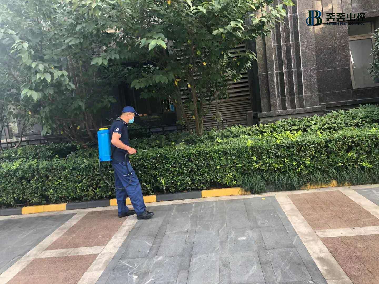 上海专业杀虫公司，奔奔虫控用事实说话