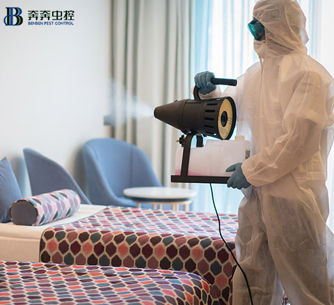 家里都是细菌？那该如何给房子消毒呢？