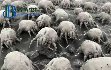 原来毛衣里才是它最喜欢隐藏的地方