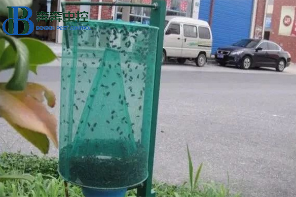 消灭苍蝇，你知道有多少招吗？