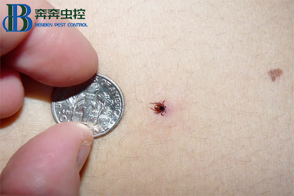 &ldquo;虫出没请注意&rdquo;，蜱虫进入活跃期！